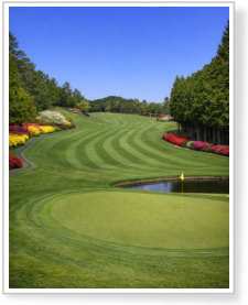 ディアーパークゴルフクラブ